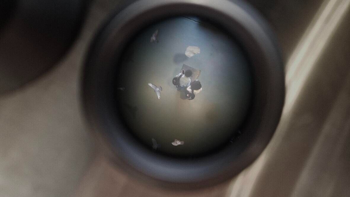 Recensie Nothing to see here - Studio Nergens